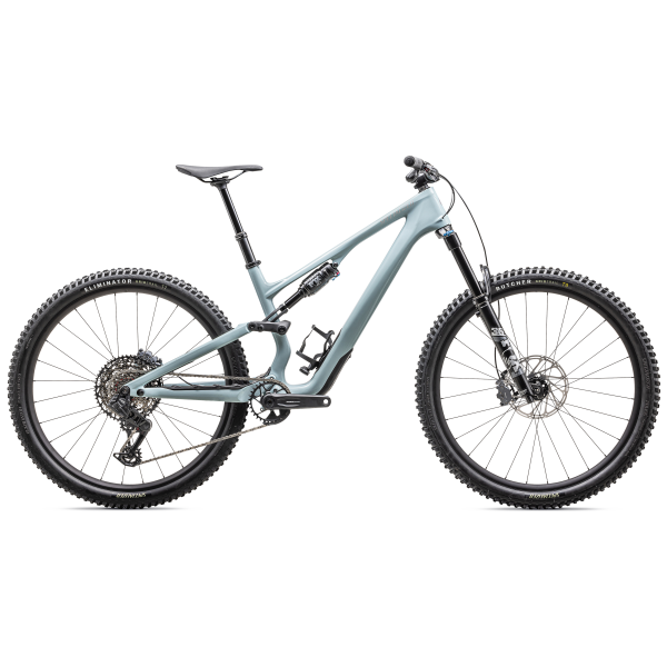 Specialized Stumpjumper 15 Comp Mountain Bike | 29" | Gloss Seafoam - Silver Dust