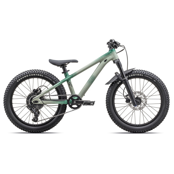 Specialized P.1 Trail Kids Bike | Satin Mettalic Pine Diffused - Spruce