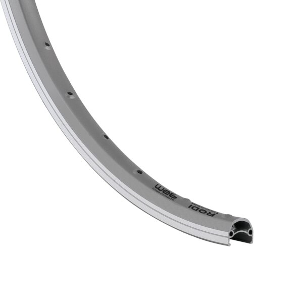 Rodi 28" Viper 19 Aluminum Rim | Silver