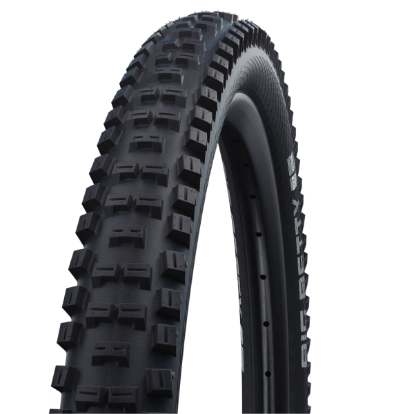 Schwalbe Big Betty Performance BikePark 26" Addix E-50 padanga | Black