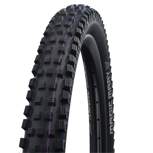 Schwalbe Magic Mary Evo Super Downhill 26" Addix Ultra Soft E-25 Folding Tire | Black