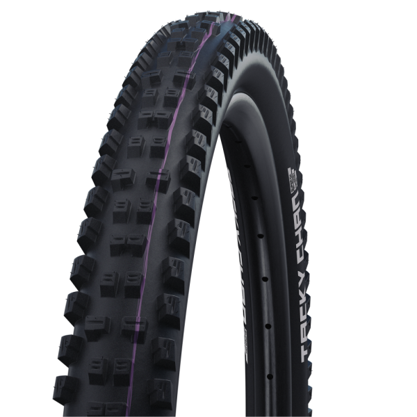 Schwalbe Tacky Chan Evo Super Gravity TLE 29" Addix Ultra Soft E-50 sulankstoma padanga | Black