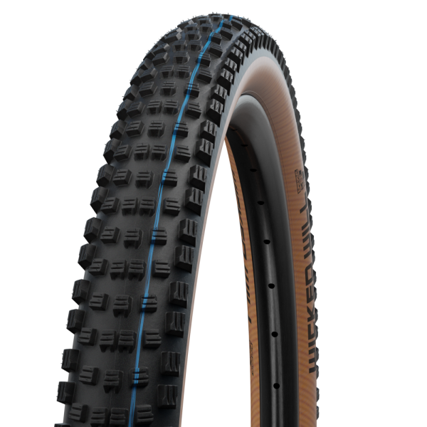 Schwalbe Wicked Will Evo Super Race TLE 29" Addix SpeedGrip sulankstoma padanga | Transparent Sidewall